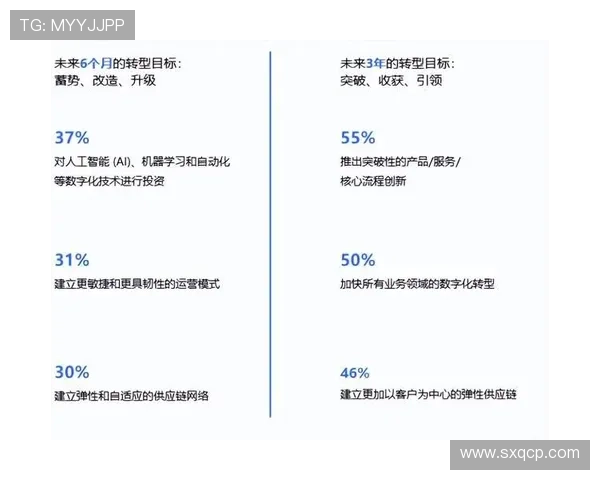 数字化时代企业家创新驱动与可持续发展战略路径综合研究探索实践